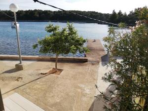 Apartments Edi Pogana