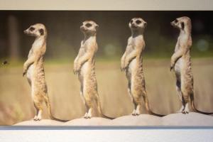 Ferienwohnung Nordseebrise