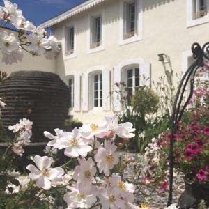 B&B / Chambres d'hotes Maison d'Hotes Lassaubatju : photos des chambres