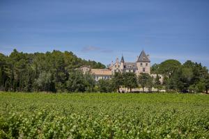 Hotels Chateau Les Carrasses : photos des chambres