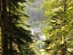 Le Refuge de l'Isard photo 12