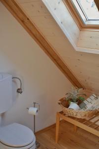 Apartma 10th Mountain, Bovec