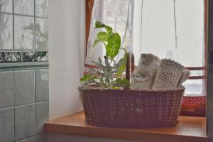 Apartma 10th Mountain, Bovec