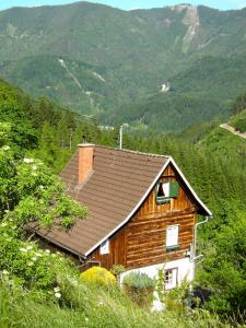 Hytte Romantische urige Ferienhütte Ennstaler Nationalpark Kalkalpen Kleinreifling Østerrike