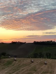 Agriturismo bio Verde Armonia