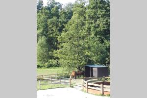 Ferienwohnung 110qm am Fuße der Wasserkuppe