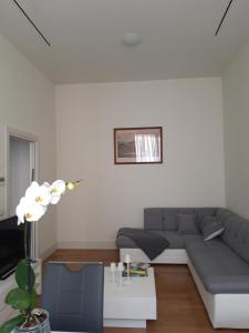 Appartamento Tergesteo