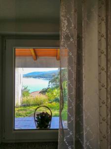 Pet friendly Apartments Licul