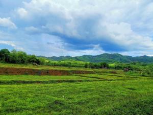 Mint Organic Farm Stay, Wangchin,Phrae