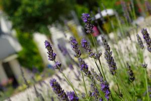 Hotels Hotel Le Blason de Provence : photos des chambres