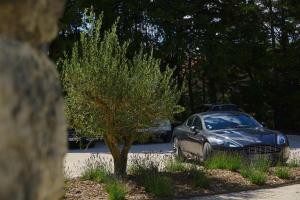 Hotels Logis Hotel Le Blason de Provence : photos des chambres