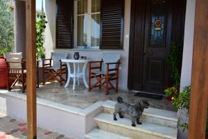 Green House Nafplio Argolida Greece