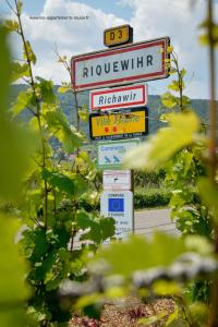 Les Appartements De Louise