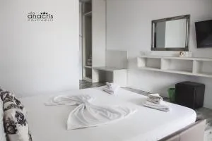 Anacris Guesthouse - Costinești