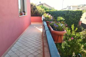 Corona Bed & Breakfast img25