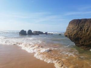 Rocha Praia Mar Beach Front Line Bay