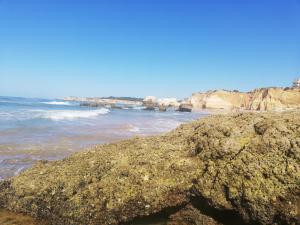 Rocha Praia Mar Beach Front Line Bay