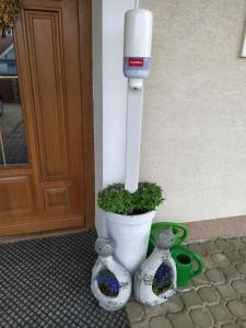 ubytování u Smolíků