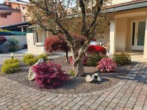 Casa Sofia - Cassola