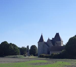 B&B / Chambres d'hotes Chateau de Chemery : photos des chambres