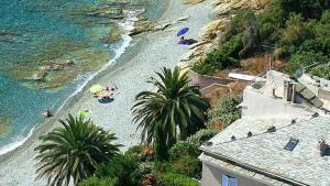 Maisons de vacances Maison Village Cosy 450m de la plage , 2km de la ville Cap Corse : photos des chambres