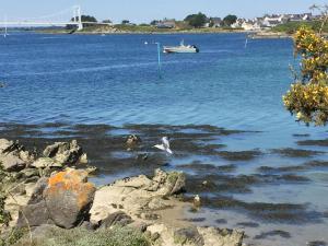 Campings Mobil-Home 4p Prive Camping 5 etoiles Erdeven 7saints : photos des chambres