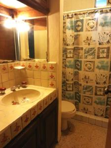 Cancun Centro Departamento