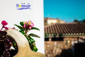 B&B Somiar img77