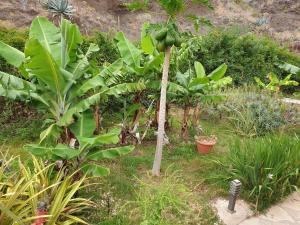 Apartment Izcague Castilla