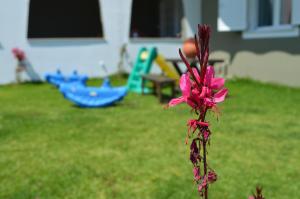 Hotel Kalimera Apartments