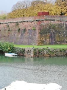 Bilocale Fortezza Nuova