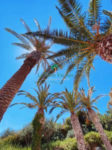 Le Palme Vacanze
