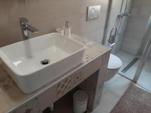 Apartment Lino - city center