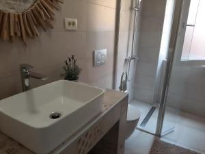 Apartment Lino - city center