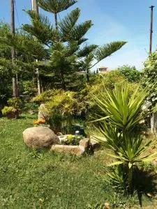 B&B Parco del Lago - Matonti