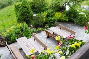 Pension Schachernhof