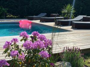 Vinha Lodge photo 12