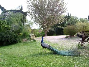 B&B / Chambres d'hotes La Ferme du Bourg : photos des chambres