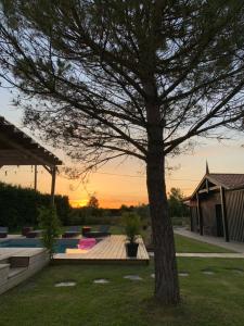 Vinha Lodge photo 15