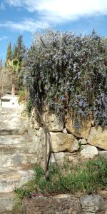 B&B / Chambres d'hotes Le Mas de FRAYERE : photos des chambres