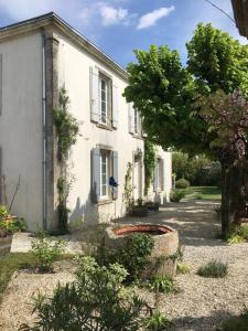 Maisons d'hotes Tilleuls et Bambous : photos des chambres