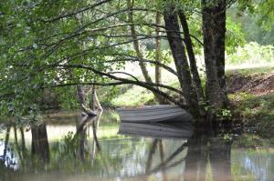Au Moulin Brun photo 12