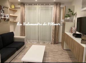 Appartements La Salamandre de l Olivier - le Palmier : photos des chambres