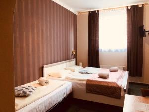 Triple Room room in Hotel Pankrac