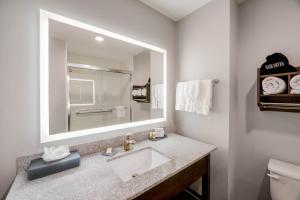 Deluxe King Room room in La Quinta by Wyndham Fort Worth Eastchase