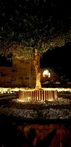 Alonia Hotel