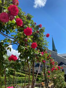 Hotels Hotel des Eaux : photos des chambres