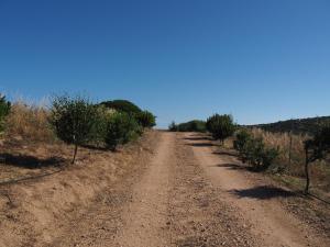 Stazzu Giasti Agriturismo img56