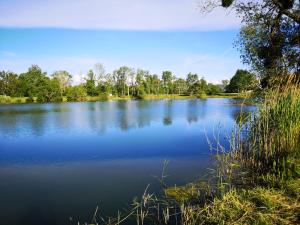 Maisons de vacances Gite a la campagne - Etat Nature : photos des chambres