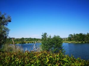 Gîte à la campagne - Etat Nature